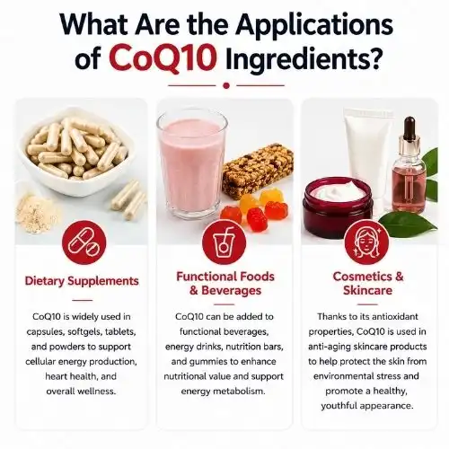 What Are the Applications of CoQ10 Ingredients?